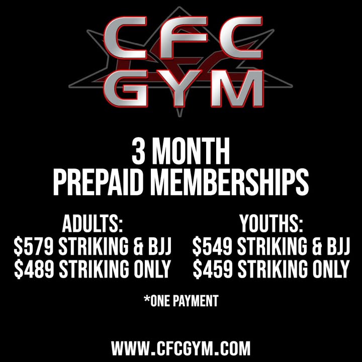 Canadian Fighting Center Winnipeg KickBoxing Muay Thai Boxing BJJ MMA Gym